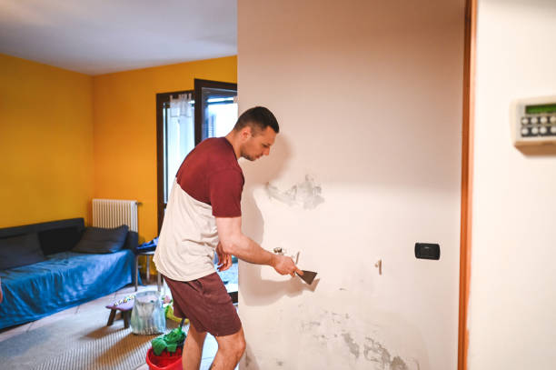 Best Professional Mold Removal  in Monson Center, MA